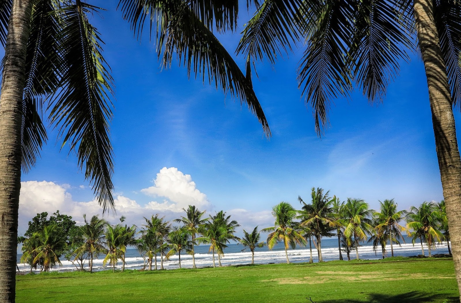 Tempat Wisata Pantai Medewi Bali